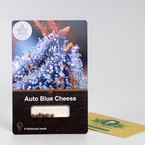 Auto Blue Cheese