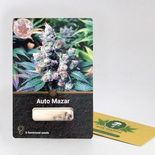 Auto Mazar