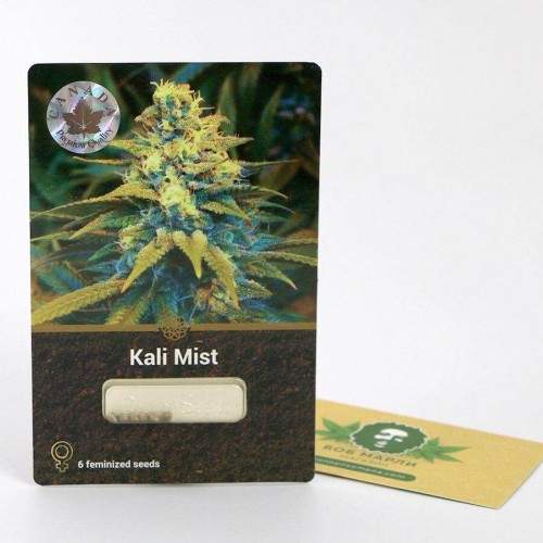 KALI MIST DIVINE SEEDS