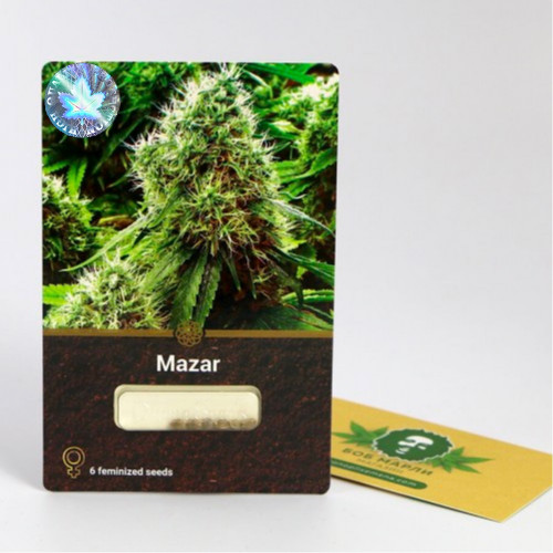 Mazar 