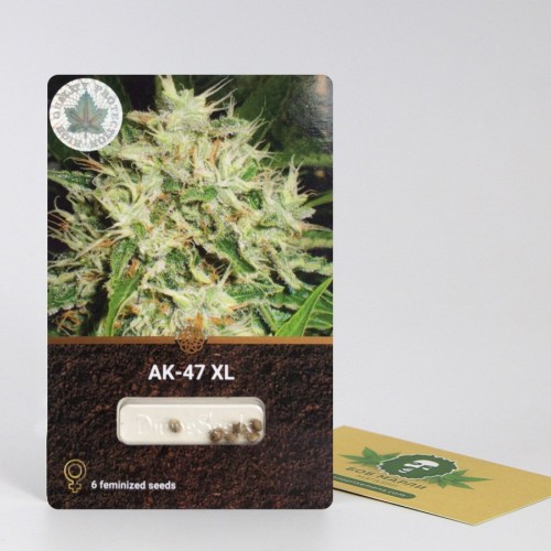 AK-47 XL