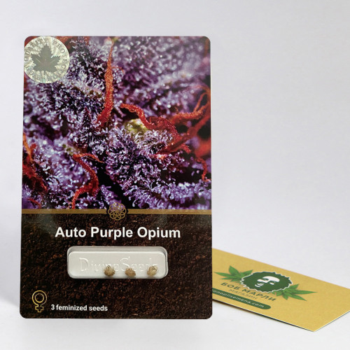 Auto Purple Opium