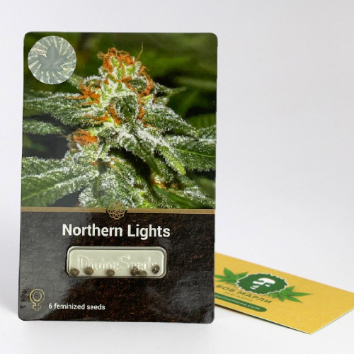 NORTHERN LIGHTS DIVINE SEEDS