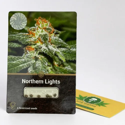 NORTHERN LIGHTS DIVINE SEEDS 2