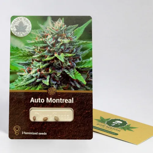 AUTO MONTREAL 2