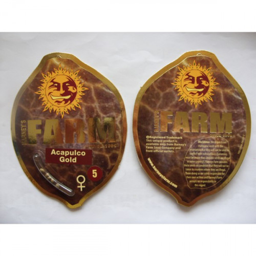 ACAPULCO GOLD FEMINISED