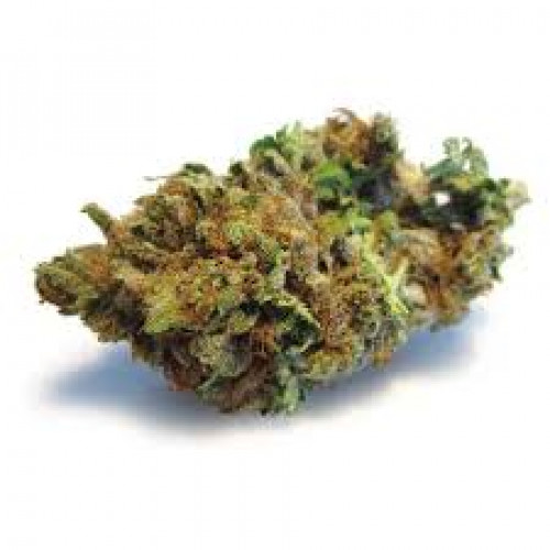 AMNESIA LEMON FEMINISED
