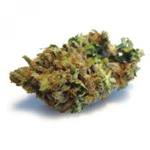 AMNESIA LEMON FEMINISED 2
