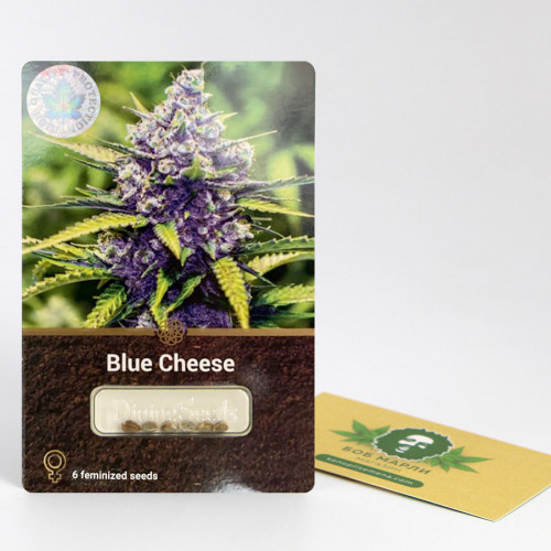 BLUE CHEESE