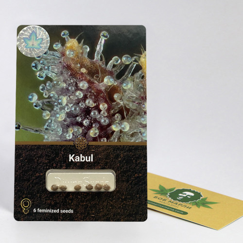KABUL