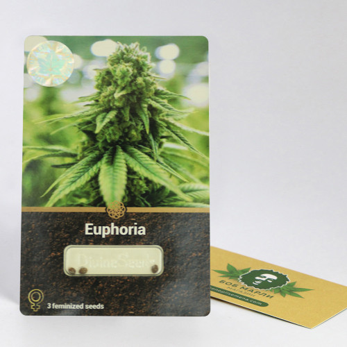 EUPHORIA