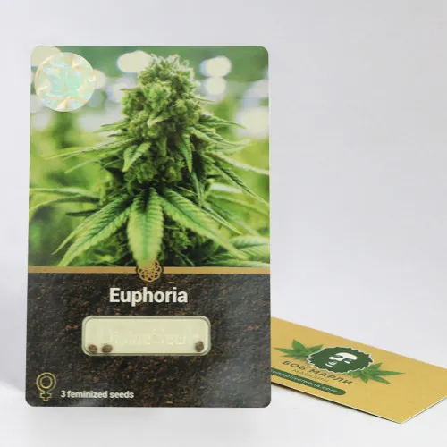 EUPHORIA 2