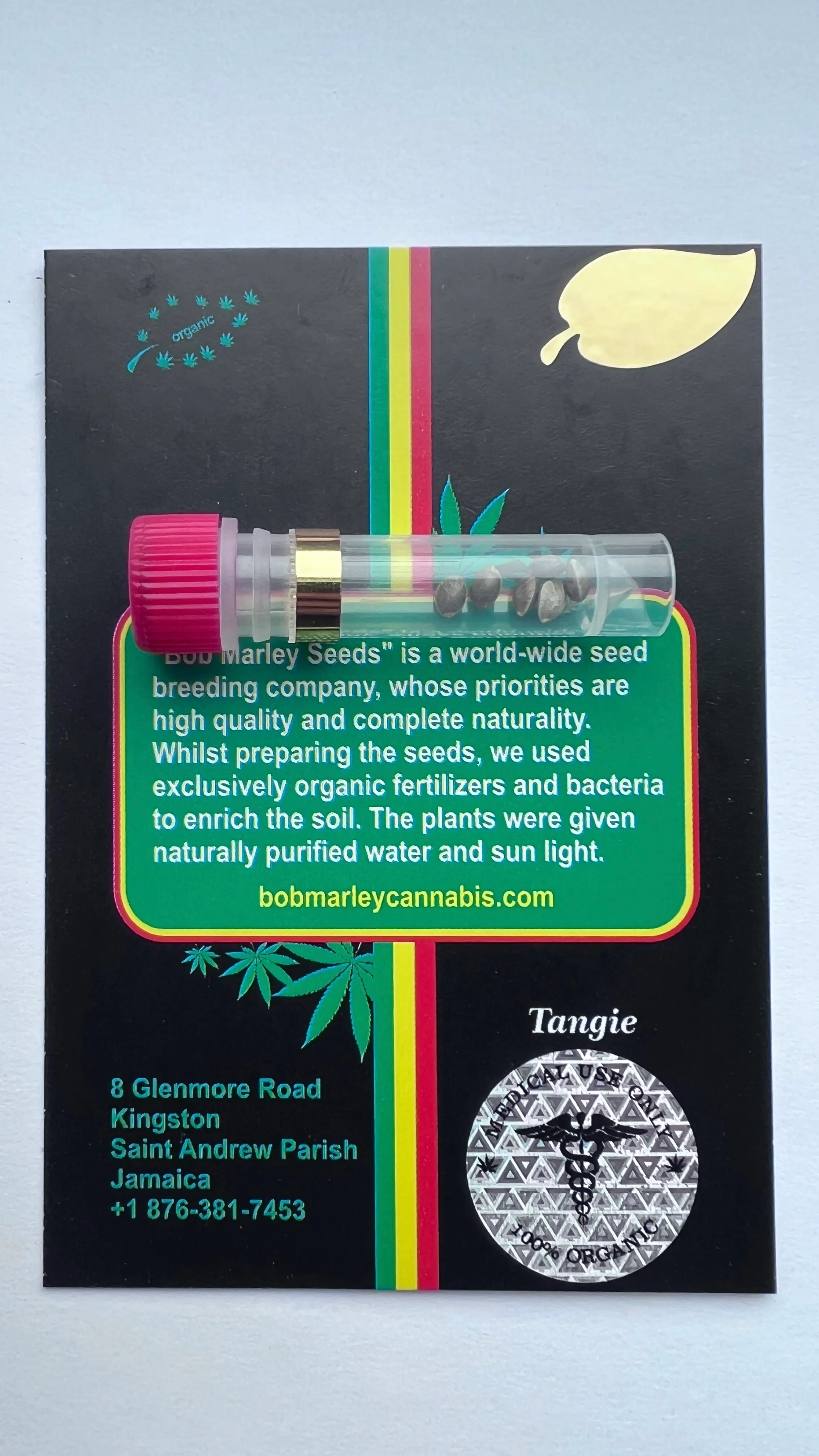 Tangie 2
