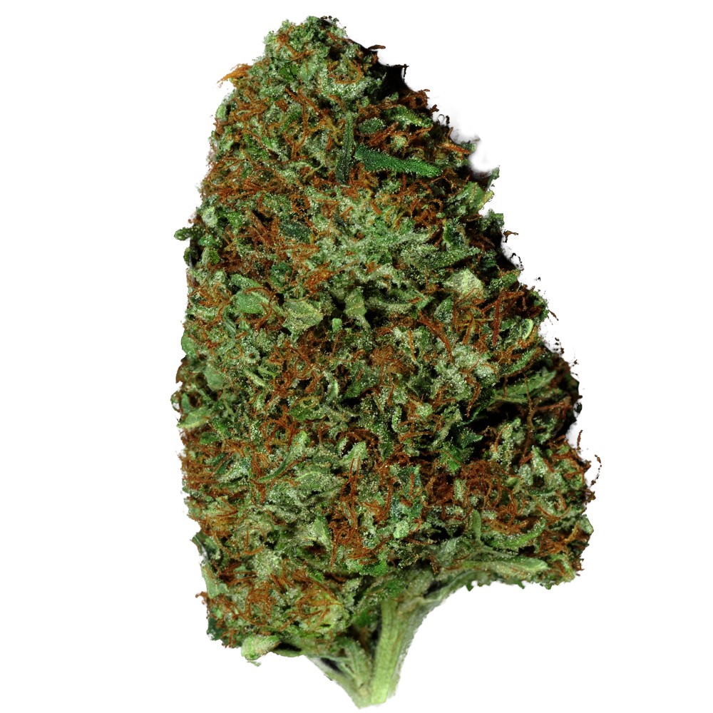 Divine Indica