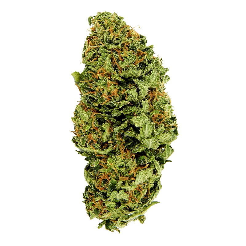 Auto Big Bang