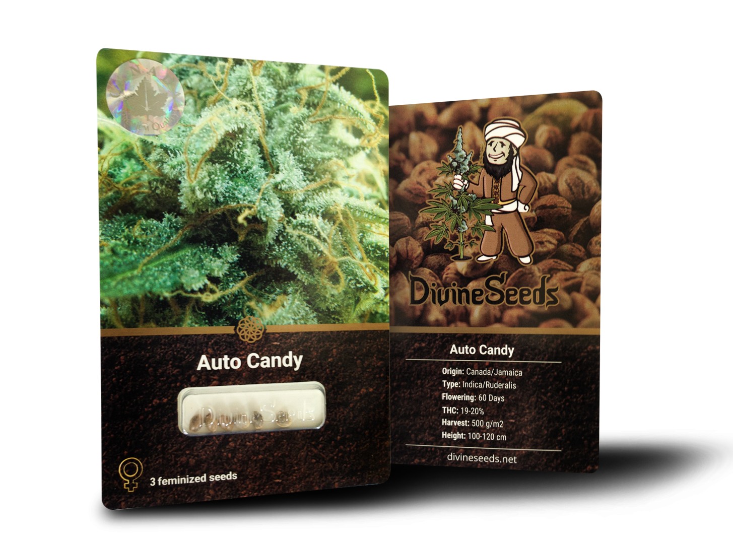 Auto Candy
