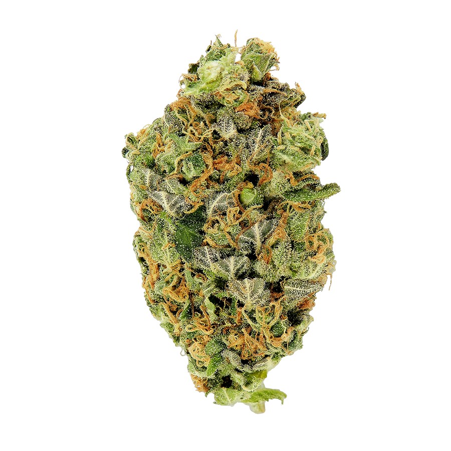 Auto Candy