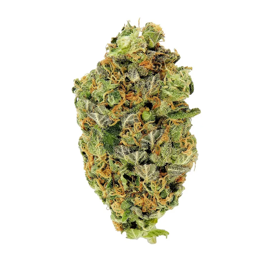 Auto Candy 5