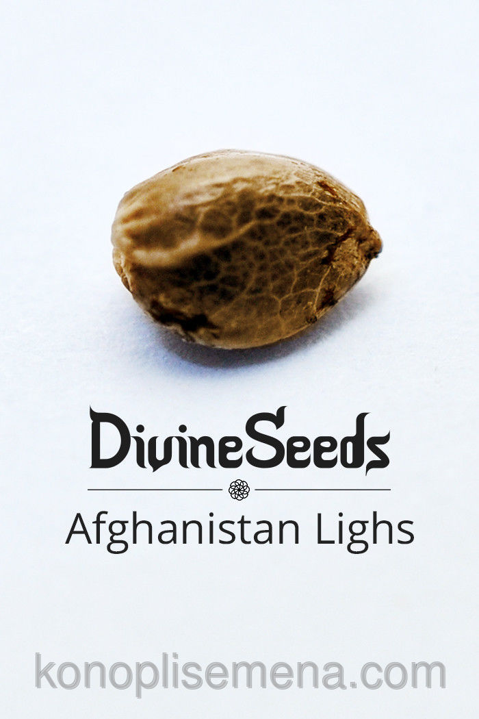 Afghanistan Lights