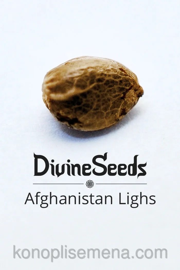 Afghanistan Lights 4