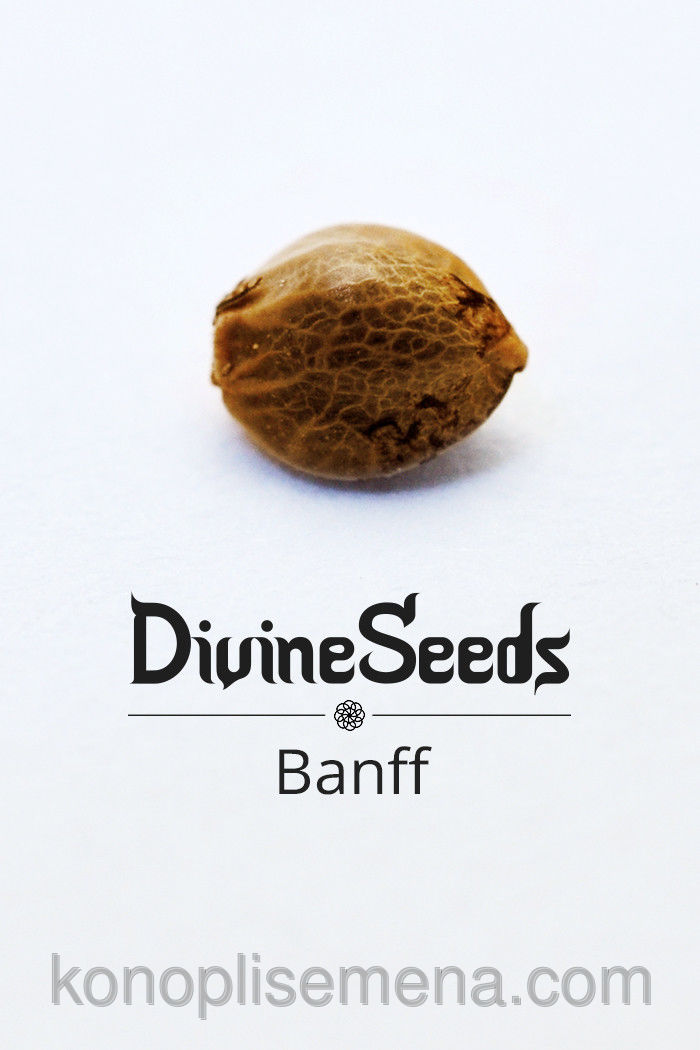Bаnff