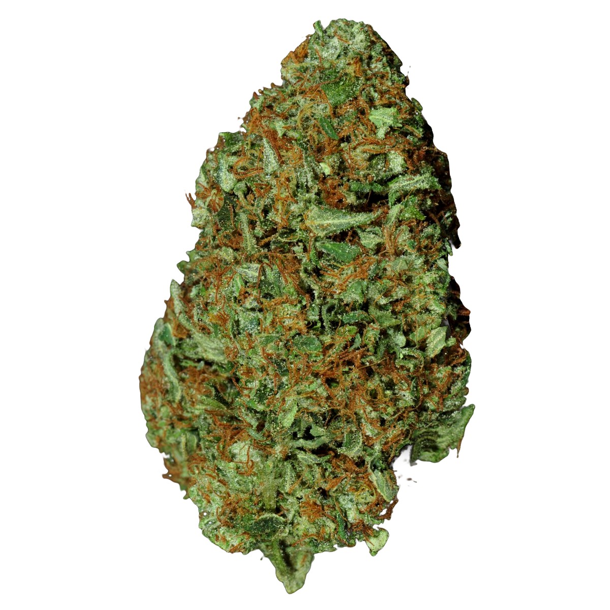Afghan Original