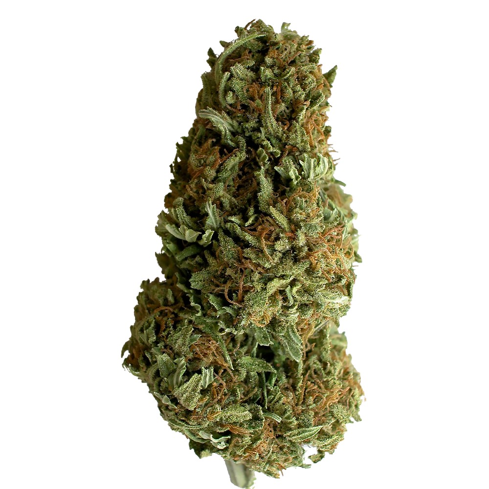 Divine Sativa