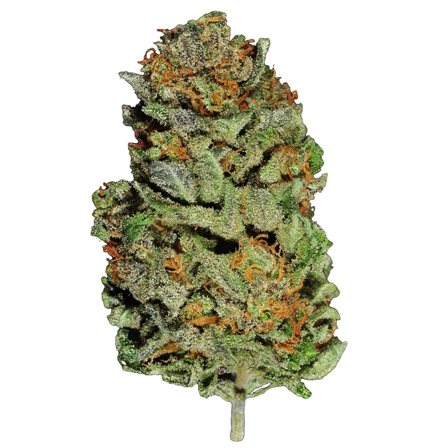 White Widow