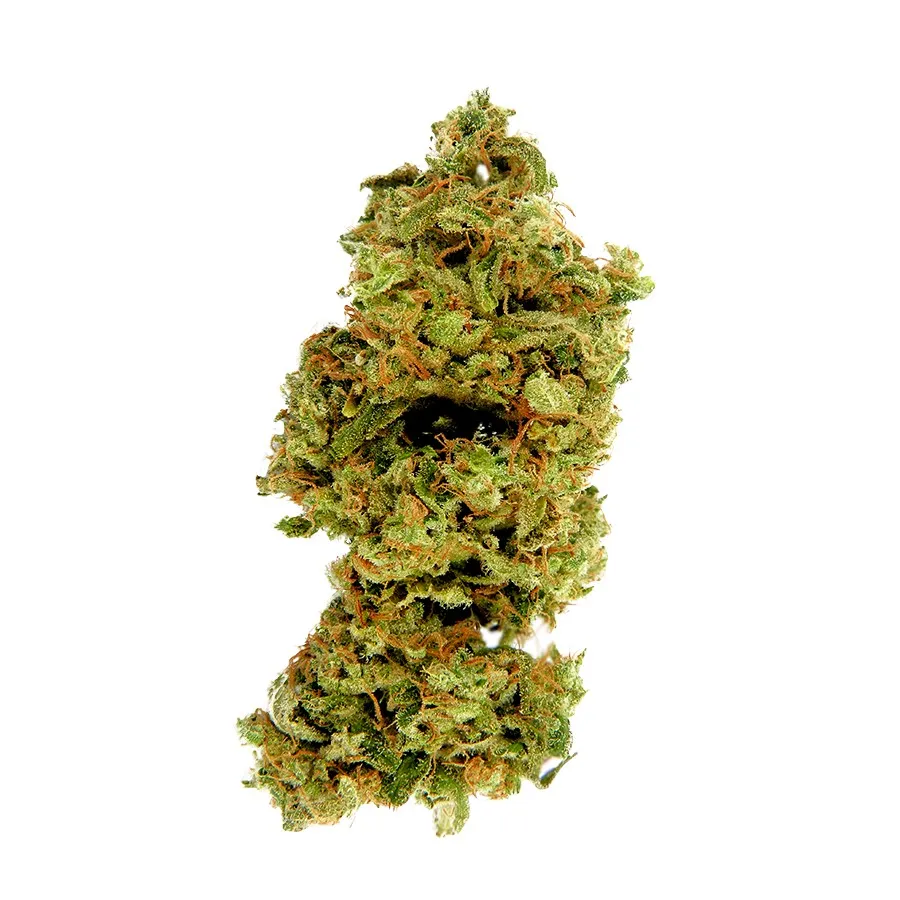 Auto Kali Mist Feminised 2