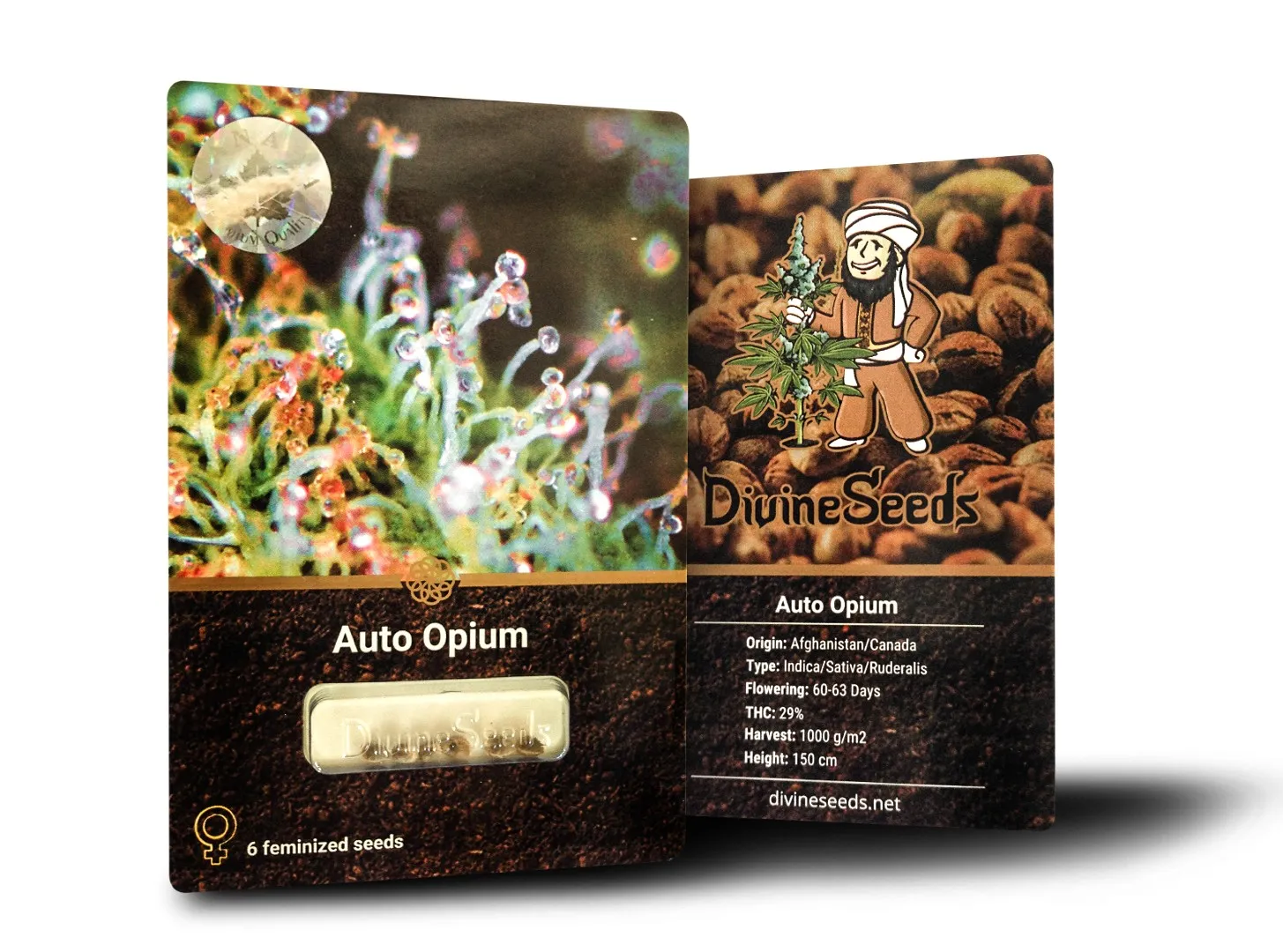 Auto Opium 5