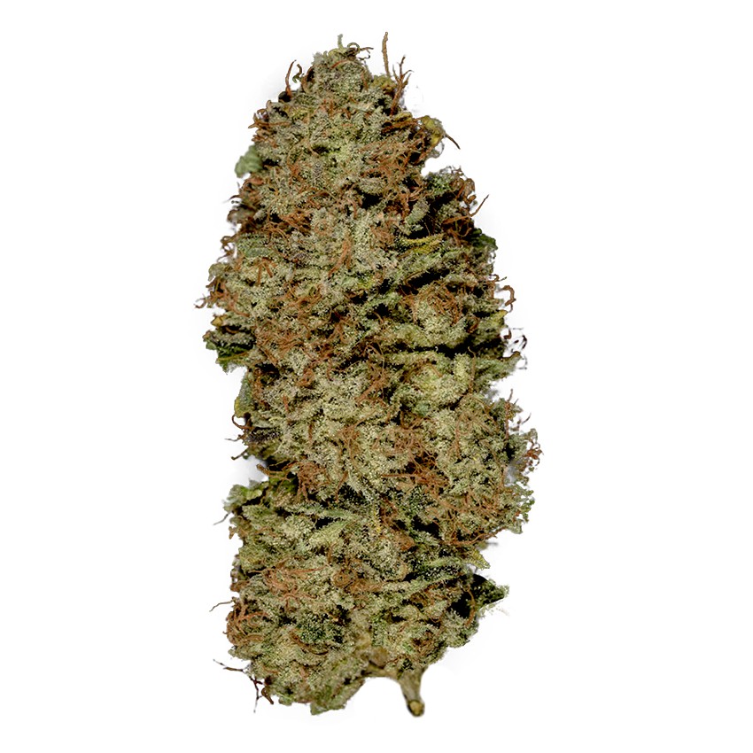 Auto Opium