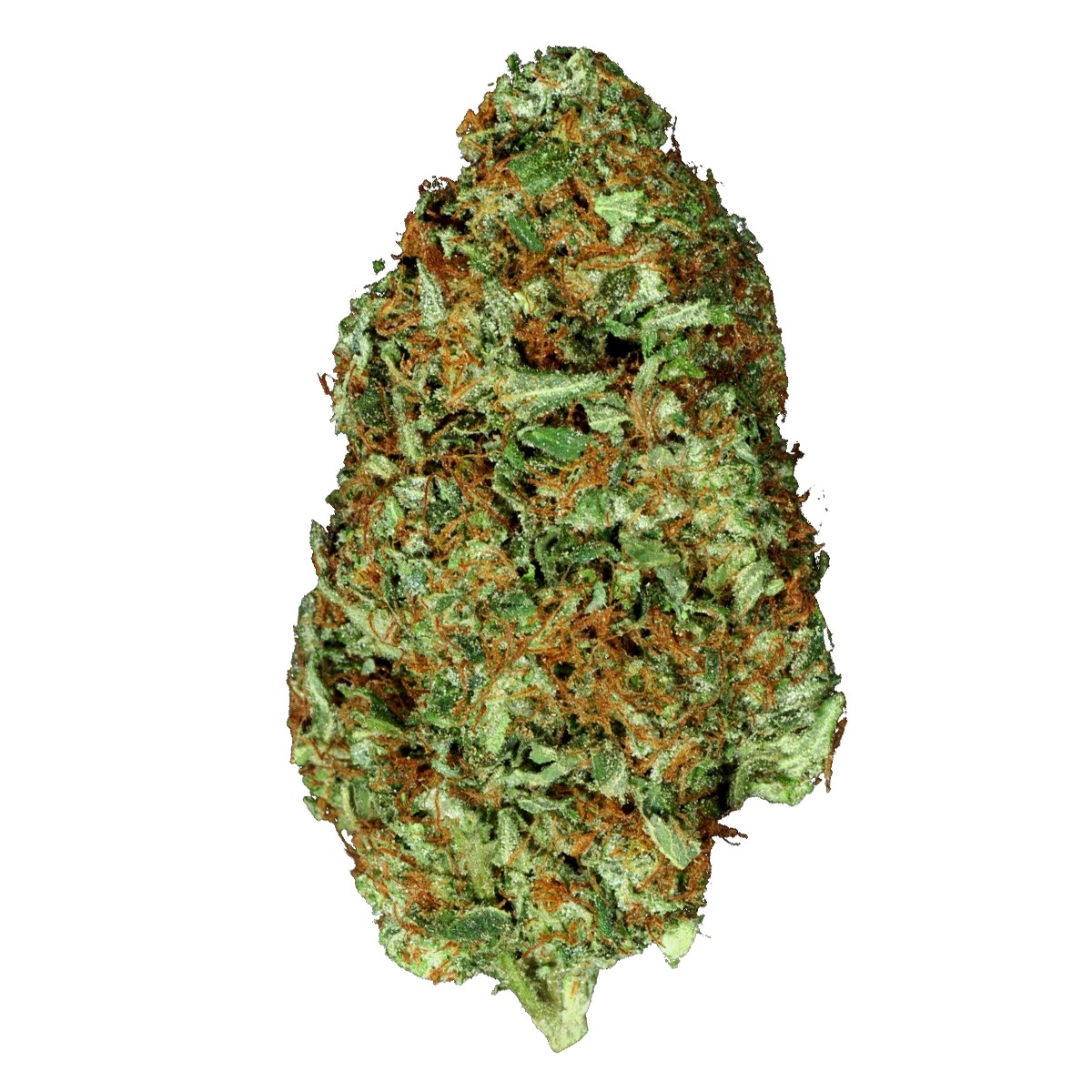 Hindu Kush