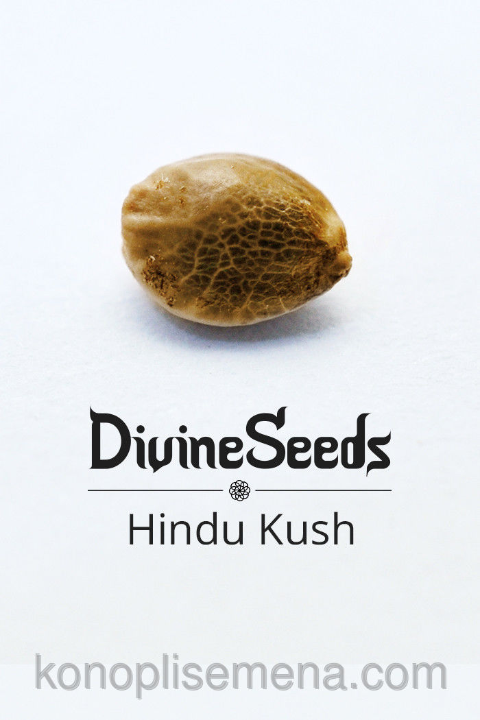 Hindu Kush