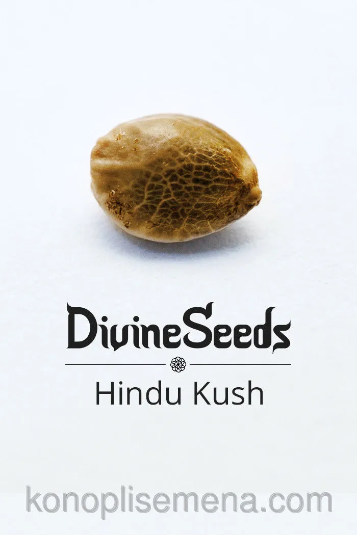 Hindu Kush 5