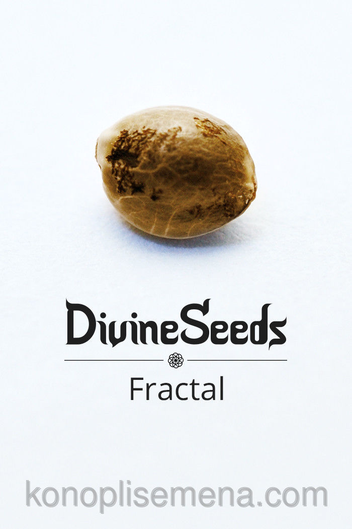 Fractal
