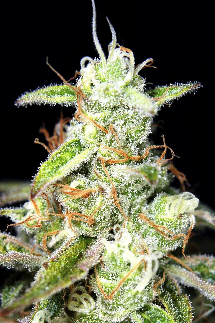 AK-47