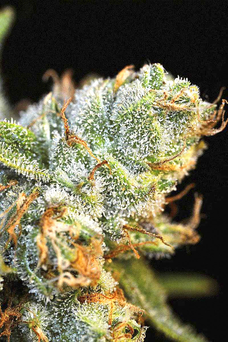 AK-47