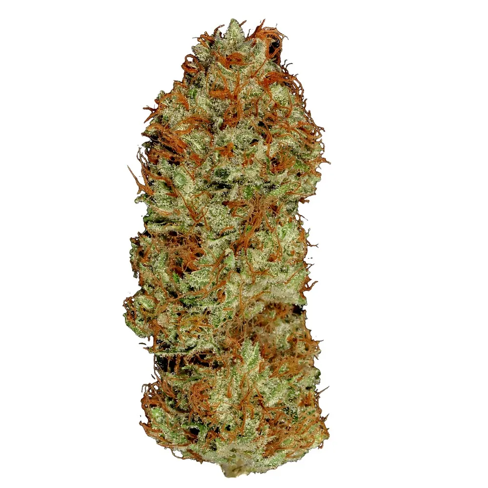AK-47 5