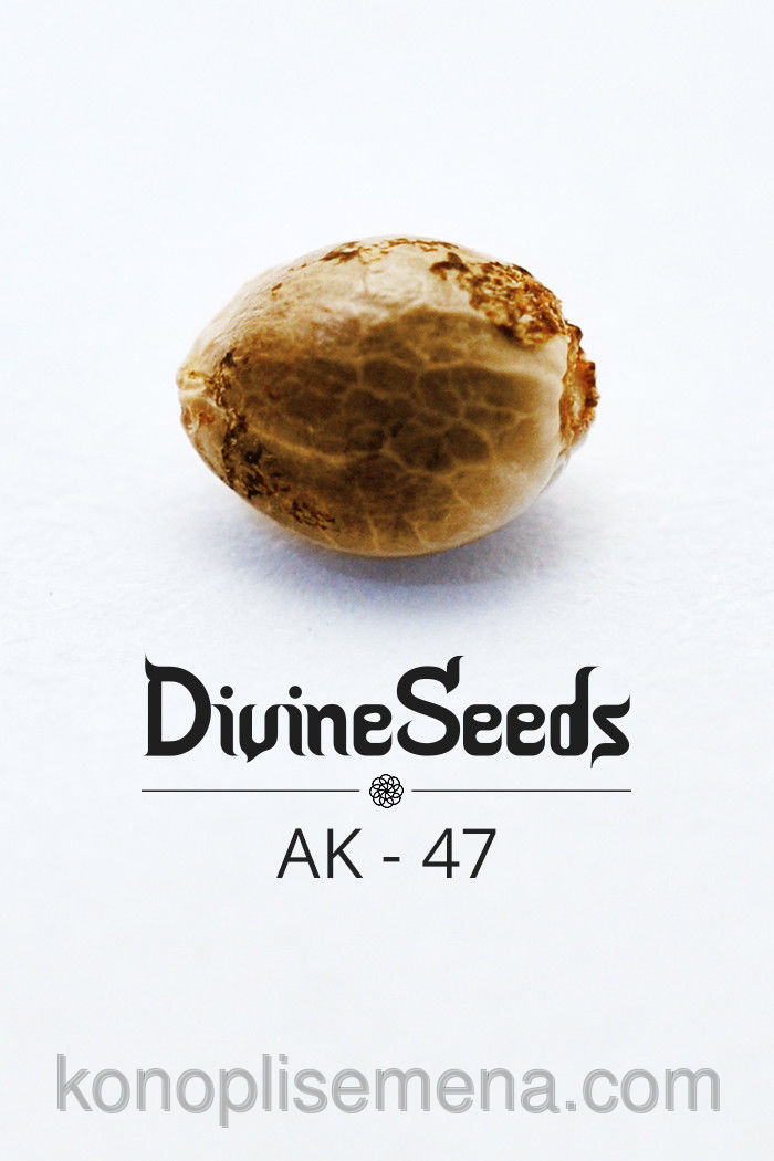 AK-47