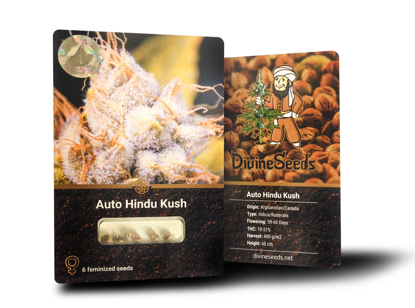 Auto Hindu Kush