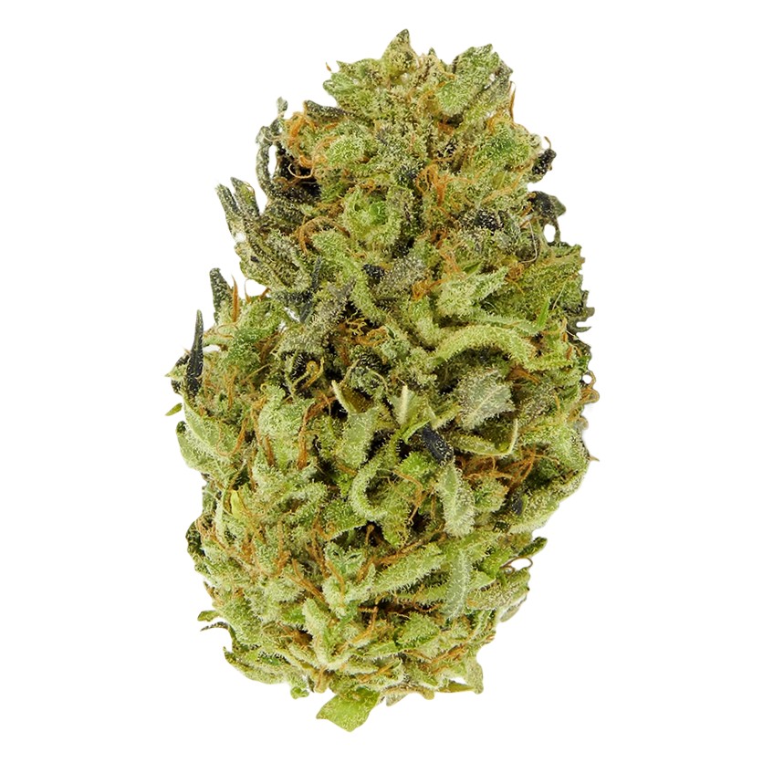 Auto Hindu Kush