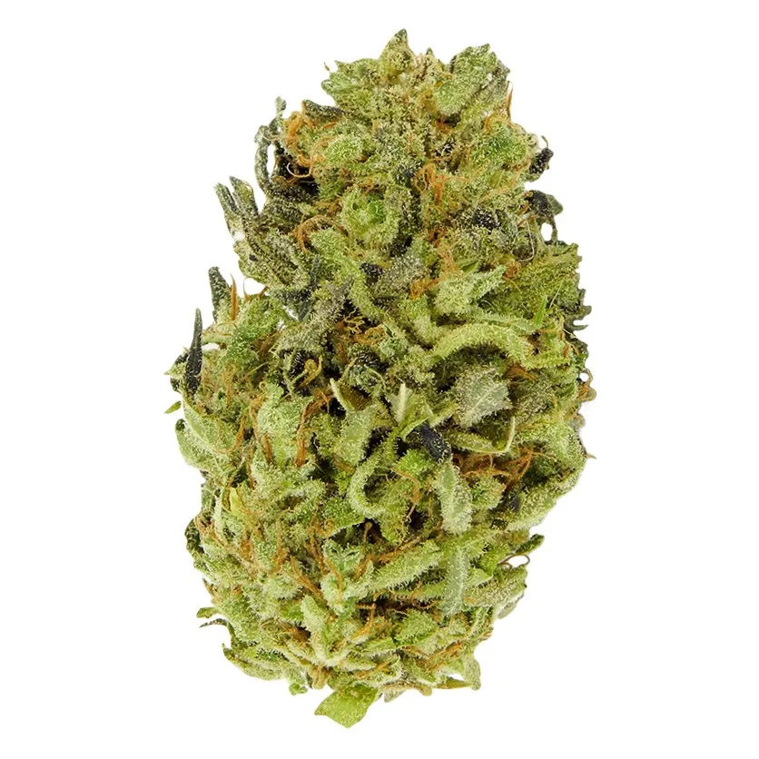 Auto Hindu Kush 6