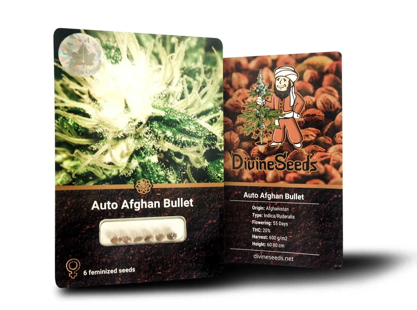Auto Afghan Bullet 3