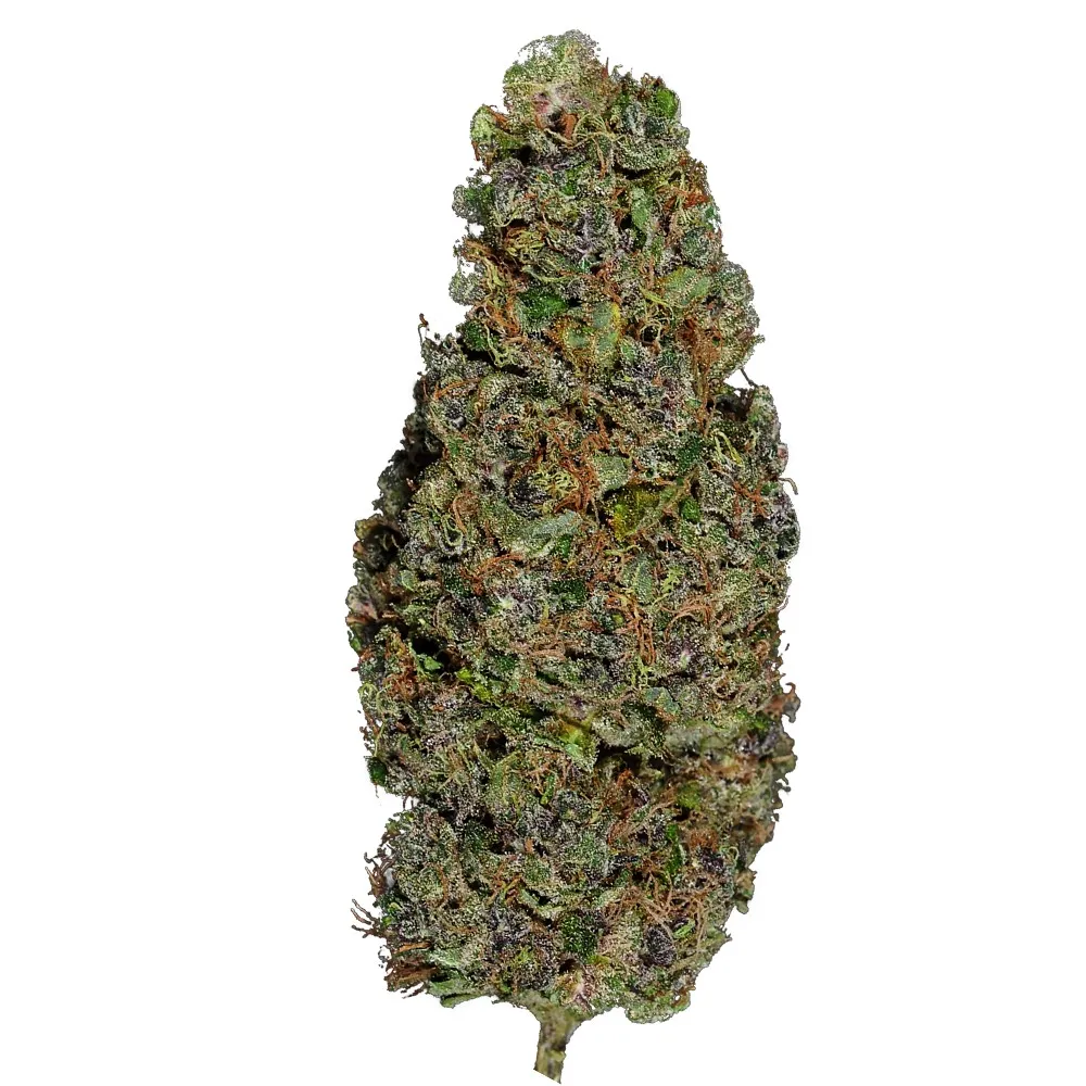 Out of Space 4