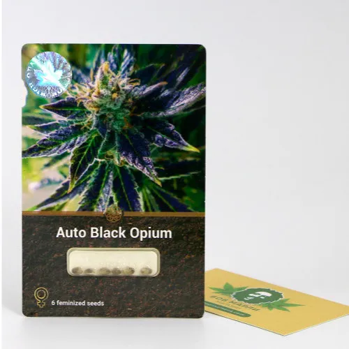 Auto Black Opium  2